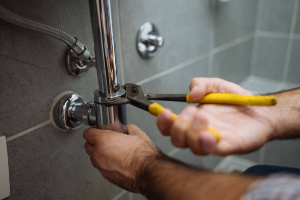 Best Plumbing Inspection Services  in Allardt, TN